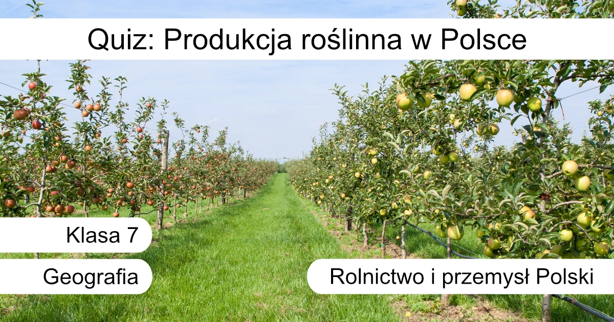 Quiz: Produkcja roślinna w Polsce