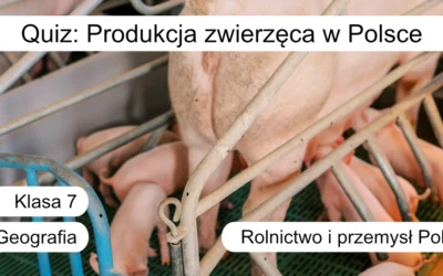 Quiz: Produkcja zwierzęca w Polsce