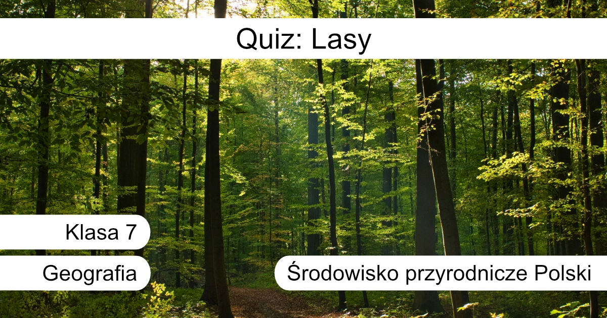 Quiz: Lasy w Polsce