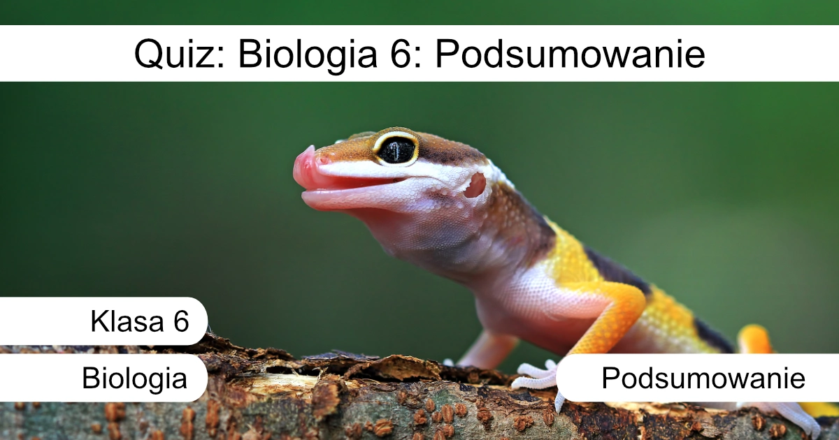 Quiz: Biologia 6: Podsumowanie