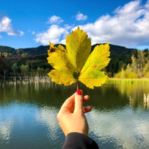Quizy: Środowisko przyrodnicze i ludność Europy