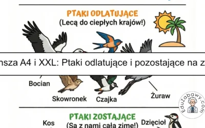 Plansza dydaktyczna: Ptaki odlatujące i zostające na zimę