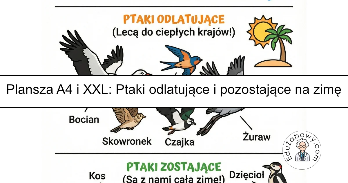 Plansza dydaktyczna: Ptaki odlatujące i zostające na zimę