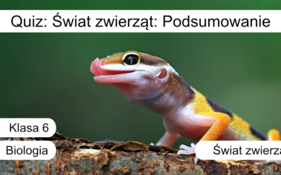 Quiz: Świat zwierząt: Podsumowanie