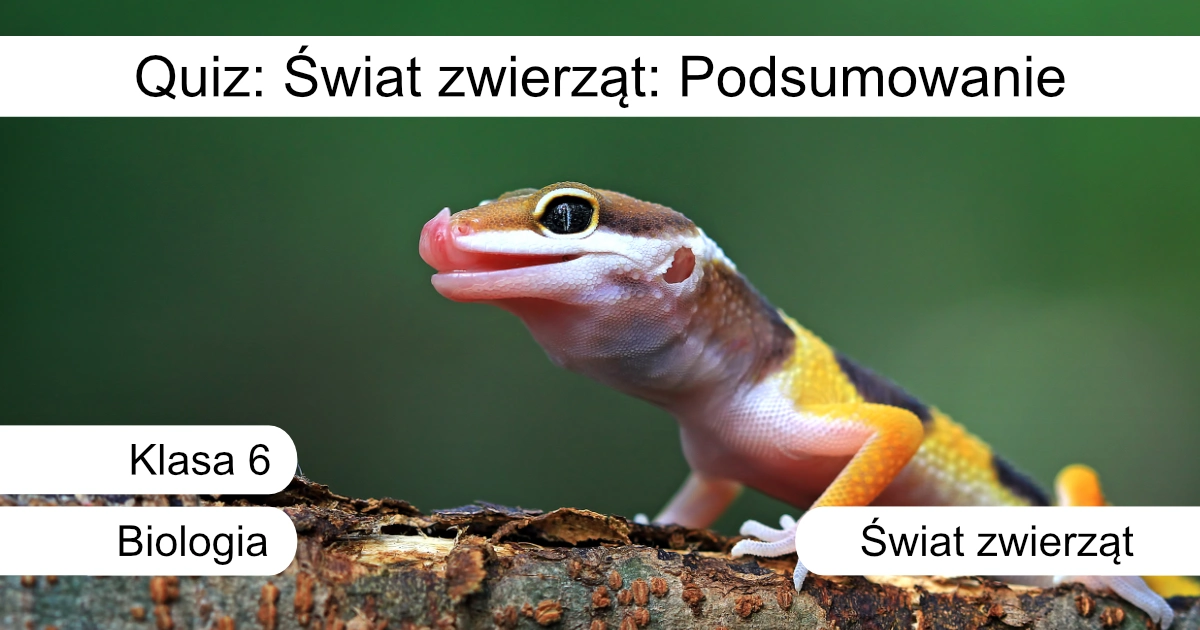 Quiz: Świat zwierząt: Podsumowanie