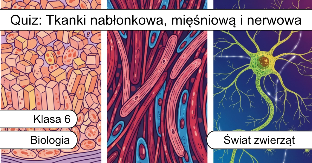 Quiz: Tkanki: nabłonkowa, mięśniową i nerwowa
