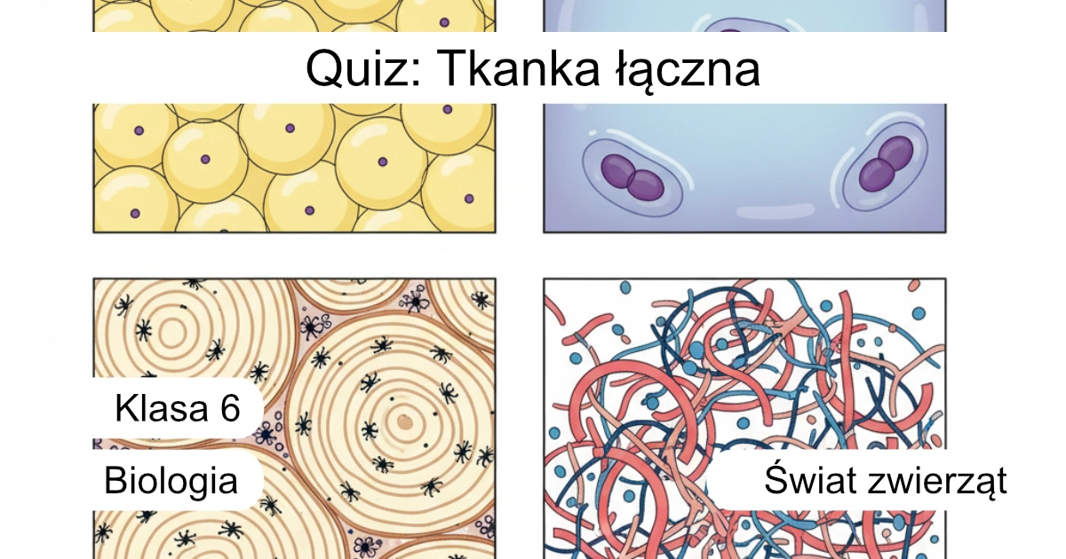 Quiz: Tkanka łączna