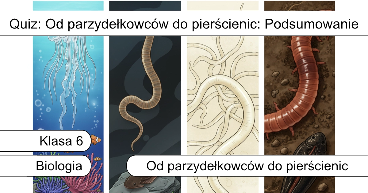 Quiz: Od parzydełkowców do pierścienic