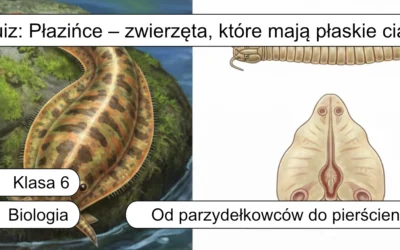 Quiz: Płazińce – zwierzęta, które mają płaskie ciało