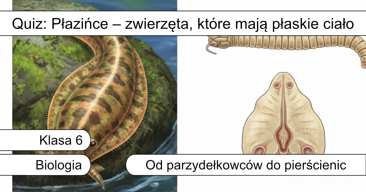 Quiz: Płazińce – zwierzęta, które mają płaskie ciało