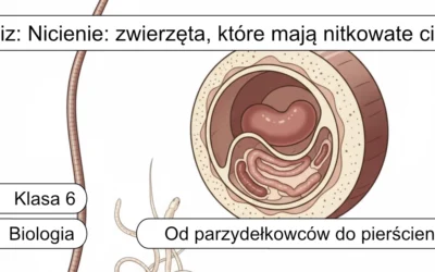 Quiz: Nicienie – zwierzęta, które mają nitkowate ciało