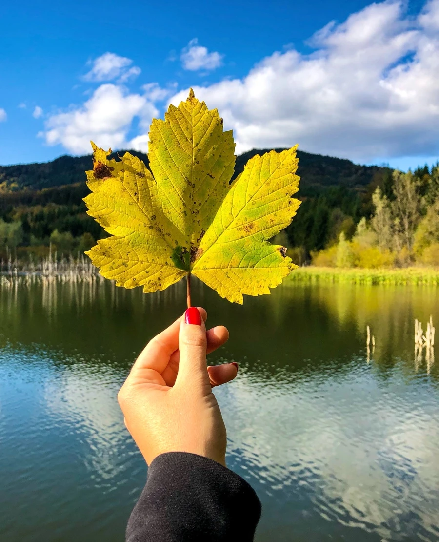 Quiz: Środowisko przyrodnicze i ludność Europy: podsumowanie