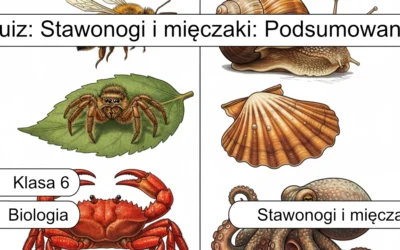 Quiz: Stawonogi i mięczaki: Podsumowanie