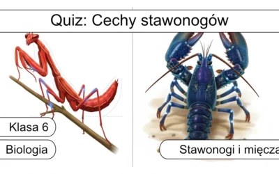 Quiz: Cechy stawonogów