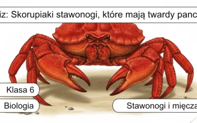 Quiz: Skorupiaki: stawonogi, które mają twardy pancerz