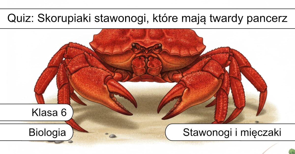 Quiz: Skorupiaki: stawonogi, które mają twardy pancerz