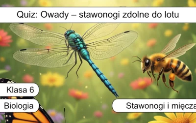 Quiz: Owady – stawonogi zdolne do lotu