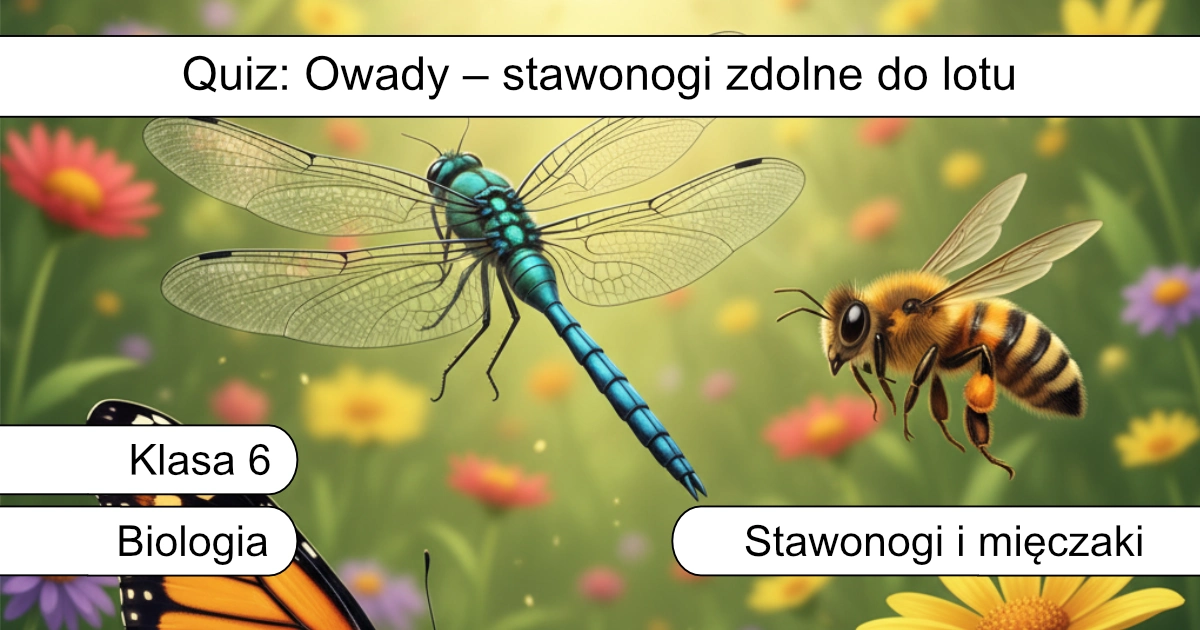 Quiz: Owady – stawonogi zdolne do lotu