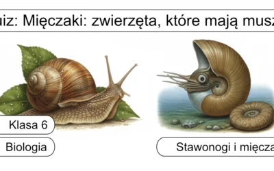 Quiz: Mięczaki – zwierzęta, które mają muszlę
