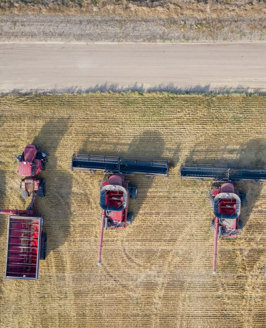 Quiz: Rolnictwo Danii i Węgier