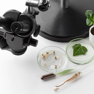 Biologia – nauka o życiu (Quizy)