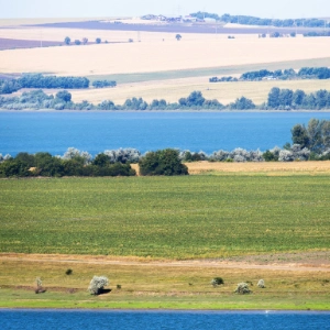 Quizy: Krajobrazy nizinne Polski