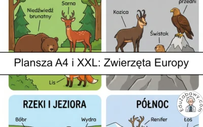 Plansza dydaktyczna: Zwierzęta Europy