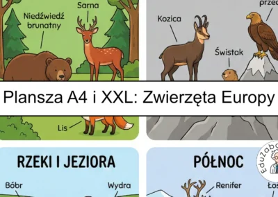 Plansza dydaktyczna: Zwierzęta Europy