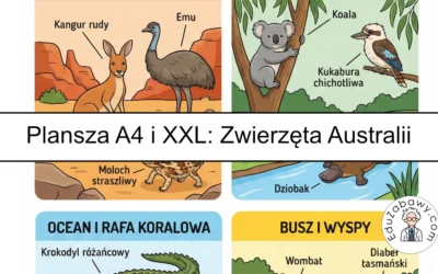 Plansza dydaktyczna: Zwierzęta Australii