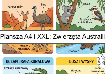 Plansza dydaktyczna: Zwierzęta Australii