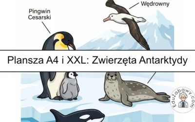 Plansza dydaktyczna: Zwierzęta Antarktydy