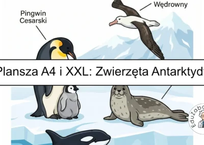 Plansza dydaktyczna: Zwierzęta Antarktydy
