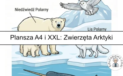 Plansza dydaktyczna: Zwierzęta Arktyki
