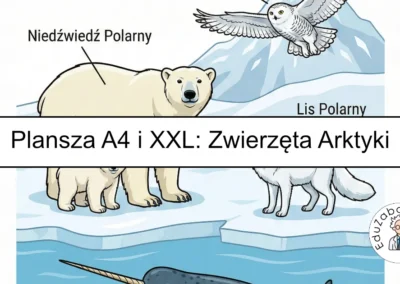 Plansza dydaktyczna: Zwierzęta Arktyki
