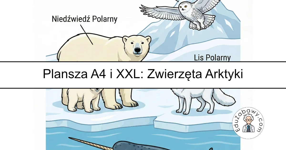 Plansza dydaktyczna: Zwierzęta Arktyki