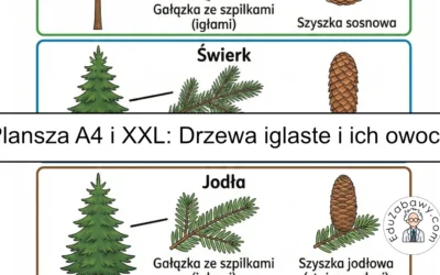 Plansza dydaktyczna: Drzewa iglaste i ich owoce