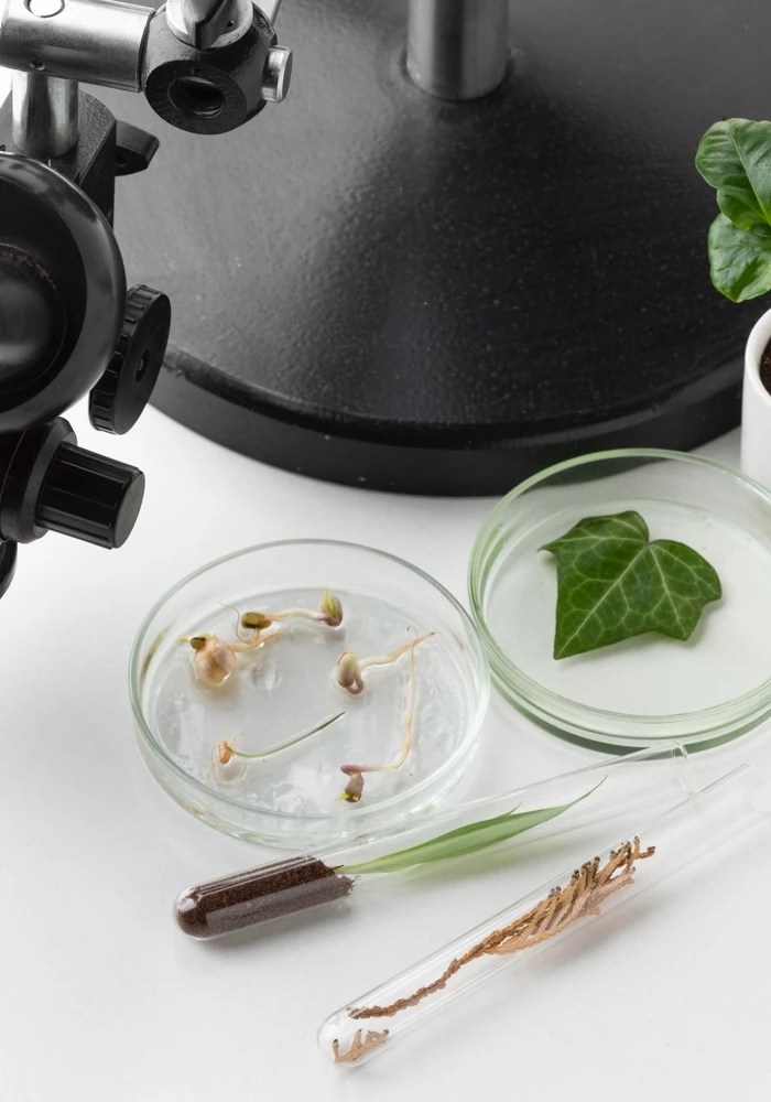 Quiz: Biologia - nauka o życiu: podsumowanie