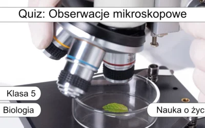 Quiz: Obserwacje mikroskopowe