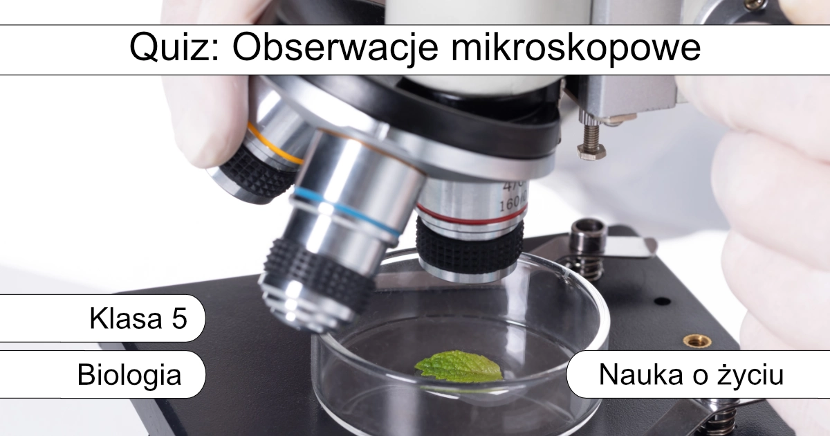 Quiz: Obserwacje mikroskopowe