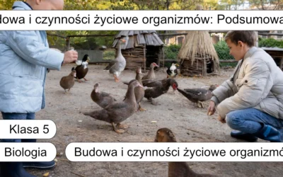 Quiz: Budowa i czynności życiowe organizmów: Podsumowanie