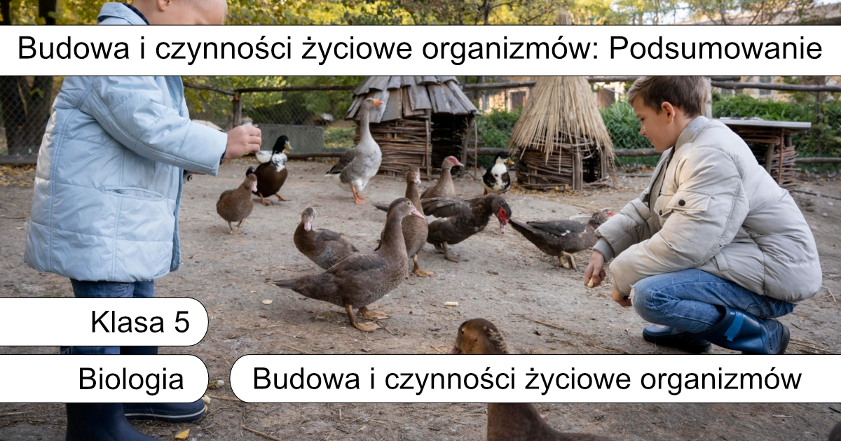 Quiz: Budowa i czynności życiowe organizmów: Podsumowanie