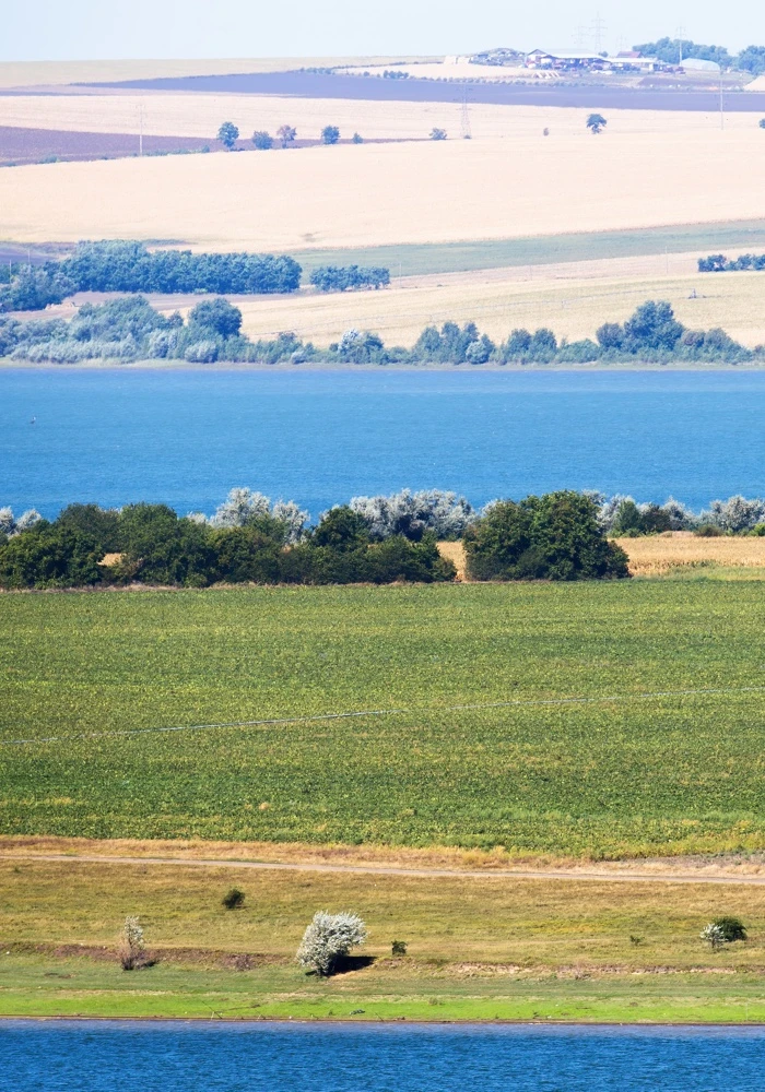 Quiz: Krajobrazy nizinne Polski: podsumowanie