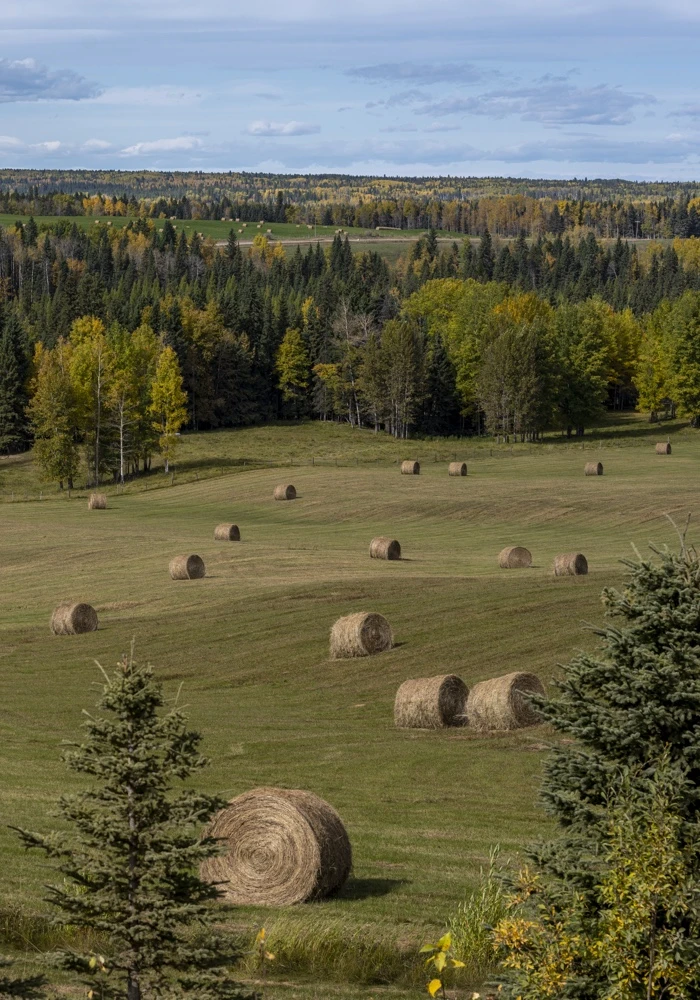 Quiz: Różnorodność krajobrazów w Polsce
