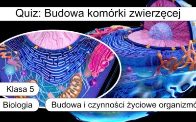 Quiz: Budowa komórki zwierzęcej