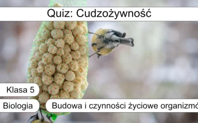 Quiz: Cudzożywność