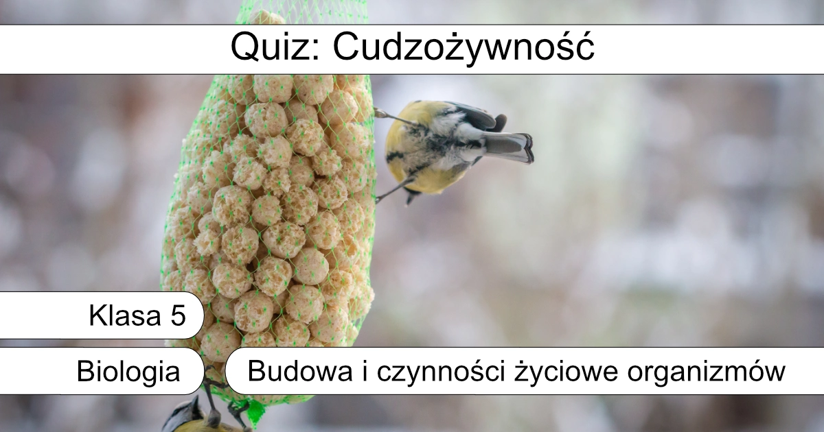 Quiz: Cudzożywność