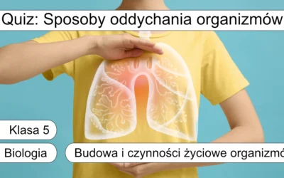 Quiz: Sposoby oddychania organizmów