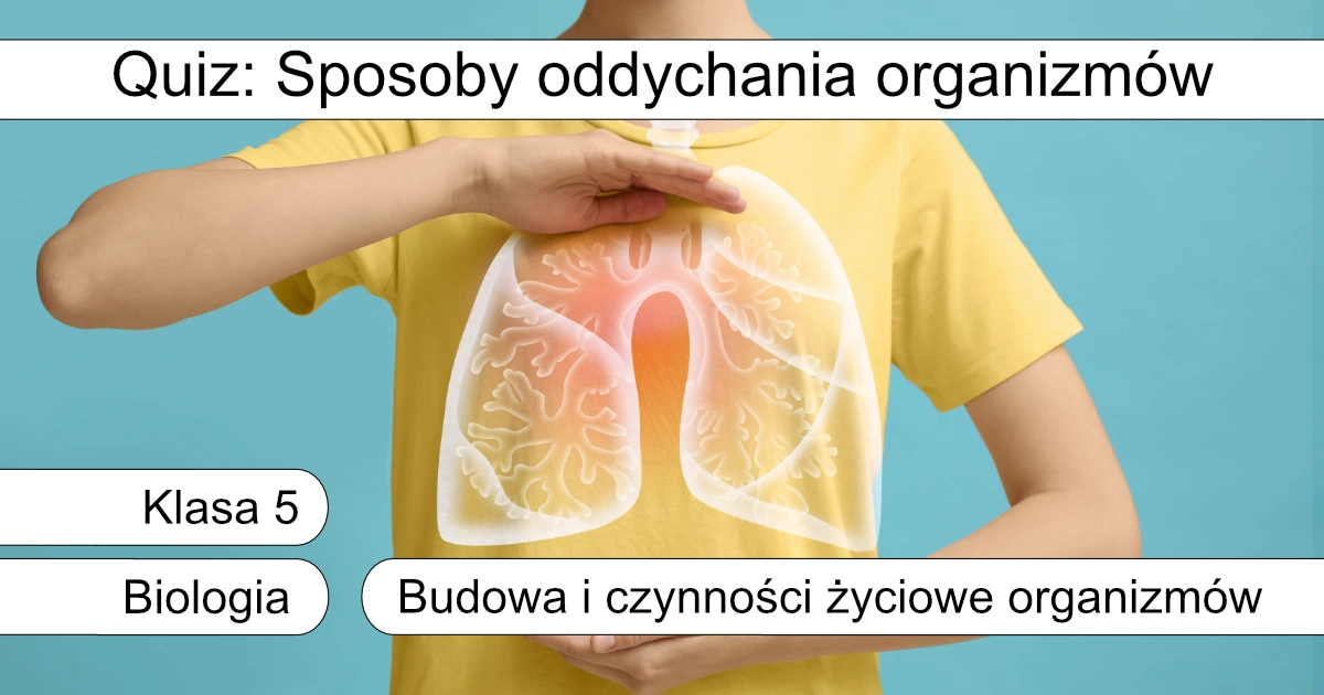 Quiz: Sposoby oddychania organizmów