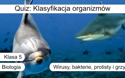 Quiz: Klasyfikacja organizmów