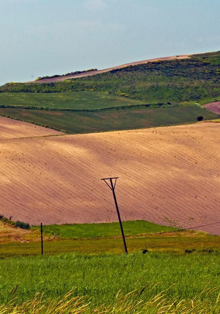 Quiz: Krajobraz rolniczy – Wyżyna Lubelska